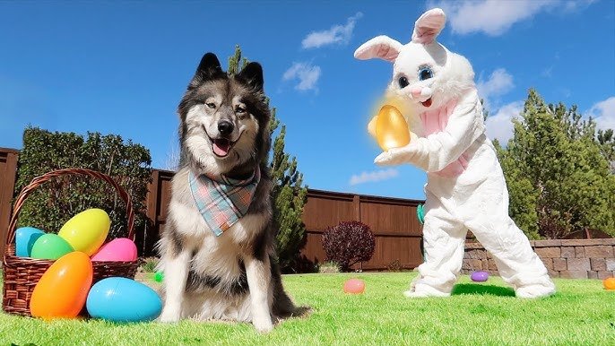 A happy, playful puppy, representing the joy of finding your perfect furry companion through PuppyFind.